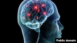 Ilustracija sinapsi u mozgu