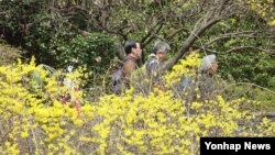 절기상 청명인 4일 오후 서울 시민들이 개나리가 활짝 핀 북악산길을 걷고 있다. 이날 시내 낮 기온은 21도까지 올랐다. 