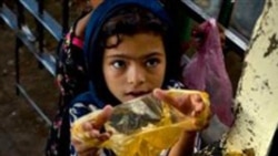 افروز: شکوه همسرداری به جای تنظيم خانواده تدريس خواهد شد