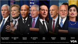 White House Coronavirus Task Force members