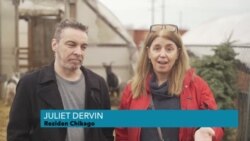 Kabrit nan Zòn Chicago ap Jwi Pye Sapen Ameriken Voye Jete 