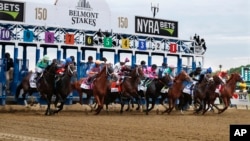 FILE - In this June 9, 2018 photo, horses break from the starting gate of the 150th running of the Belmont Stakes. The Belmont Stakes will be run June 20, 2020, without fans and serve as the opening leg of horse racing's Triple Crown for the first time. (AP Photo/Julie Jacobson)
