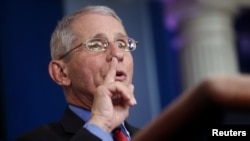 Direktor Nacionalnog instituta za alegrije i infektivne bolesti Entoni Fauči (Foto: Rojters) 