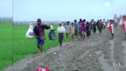 US 'Deeply Concerned' About Rohingya Crisis, in 'Robust Dialogue' With Myanmar Government