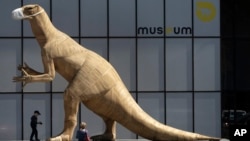 A boy walks by a model of a dinosaur wearing a face mask, during a partial lockdown to prevent the spread of the coronavirus, at the Museum of Natural History in Brussels, Tuesday, May 19, 2020. (AP Photo/Virginia Mayo)