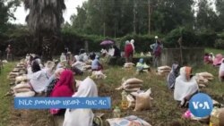 ኮቪድ ያመሳቀለው ህይወት - ባህር ዳር