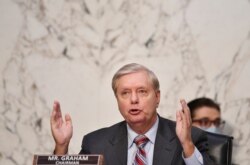 린지 그레이엄 미국 상원 법사위원장이 15일 에이미 코니 배럿 연방대법관 지명자 인준청문회에서 발언하고 있다.