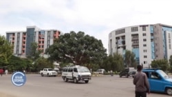 Jiraattonni Waa’ee Waliigaltee Somaaliyaa fi Itiyoopphiyaa Gidduutti Magaalaa Ankaaraatti Tolfamee Maal Maal  Jedhu?