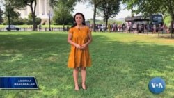 Saylov-2020: Yoshlar dardi