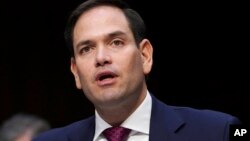 마르코 루비오 공화당 상원의원.