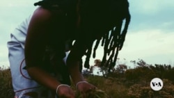 South African traditional healers embrace tech