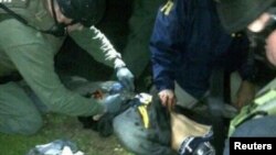 Tersangka Dzhokar Tsarnaev saat ditangkap hidup-hidup di kota Watertown, Massachusetts, hari Jumat malam (19/4). 