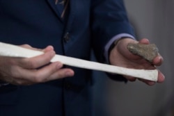 Direktur Museum Nasional Alexander Kellner menunjukkan fosil fragmen tulang, bagian atas, dari reptil terbang Pterosaurus, yang ditemukan di Antartika, saat presentasi media di Rio de Janeiro, Brazil, Rabu, 16 Januari 2019. (Foto: AP/Leo Correa)