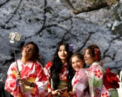 Kimono-clad women from Thailand take selfies among blooming cherry blossoms at Ueno Park in Tokyo, Japan, March 27, 2021. (REUTERS/Kim Kyung-Hoon)