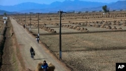 North Korean farmers pass along a road past farm fields at a collective farm near the town of Sariwon, North Korea.