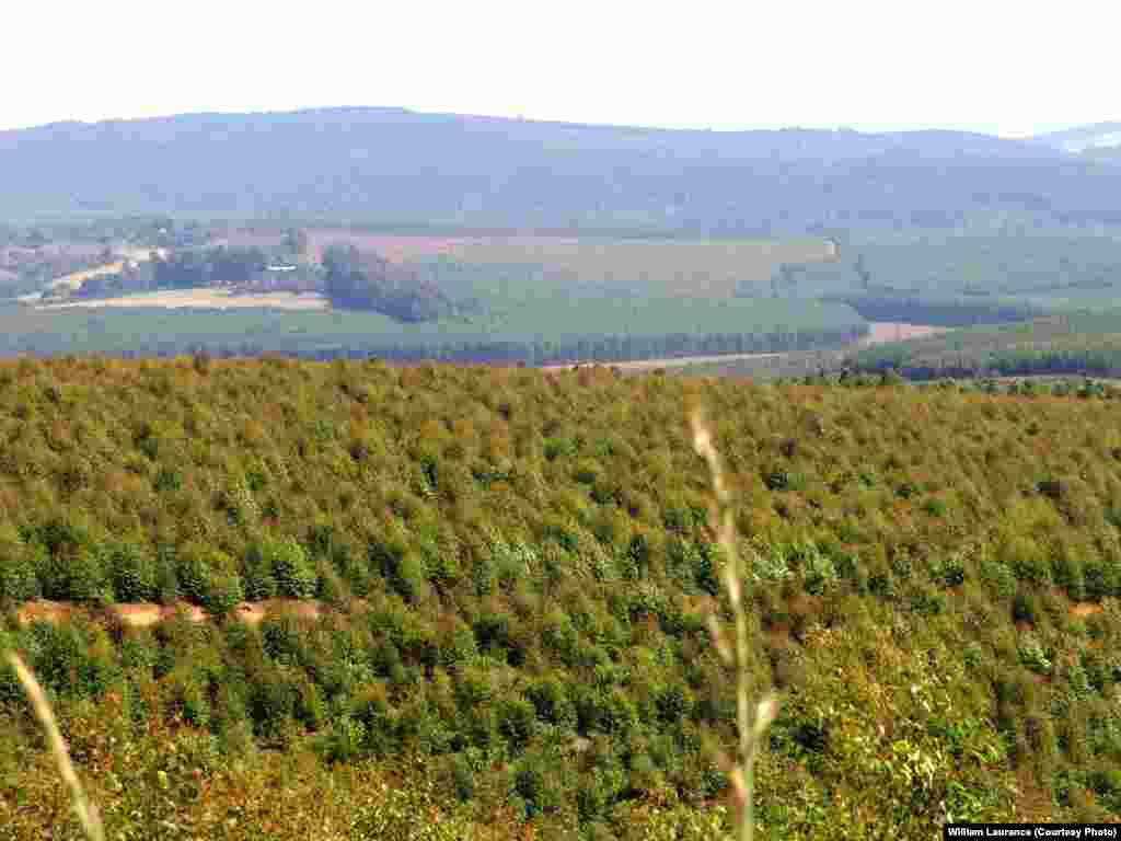 Fifty-three thousand development corridors have been proposed or are underway in Sub-Saharan Africa.