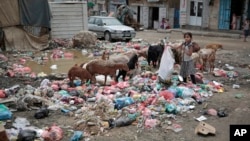 FILE - A girl scavenges at a garbage dump in a street in Sanaa, Yemen, Jul. 26, 2017.