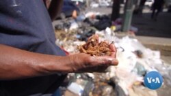 Hungry Venezuelans Pick Through Garbage for Food