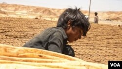 د بلوچستان یو ماشوم له تعلیمه محروم د خښتو جوړولو کار کوي