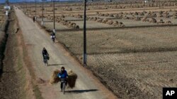 FILE - North Korean farmers pass along a road past farm fields at a collective farm near the town of Sariwon, North Korea.