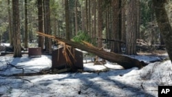 A damaged bear box is seen after the recent heavy snowpack in Yosemite National Park, Calif., in this photo released March 13, 2019, by the National Park Service.