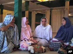 A gathering of Muslim women in the documentary includes a pediatrician, financial analyst, pharmacist and real estate agent.