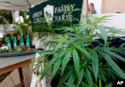 FILE - Marijuana plants are displayed at the Green Goat Family Farms stand at "The State of Cannabis," a California industry group meeting in Long Beach, California, on Sept. 28, 2017.