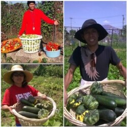 Syarif Syaifulloh dengan hasil panen dari kebunnya.