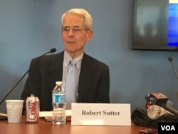 乔治华盛顿大学外交事务实践教授沙特 (美国之音钟辰芳拍摄)