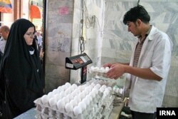 افزایش قیمت تخم مرغ