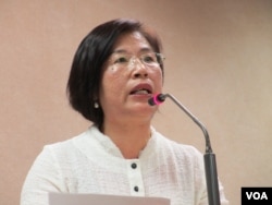 执政的国民党立委 陈碧涵（美国之音张永泰拍摄）