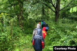 Hiking through the woods is a fun activity to do on a camping trip.