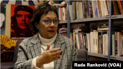 Dubravka Stojanović, istoričar