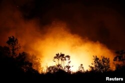 ភ្លើង​ឆេះ​ព្រៃ​នៅ​ខេត្ត Central Kalimantan នៃ​ប្រទេស​ឥណ្ឌូនេស៊ី​នៅ​ថ្ងៃទី ១៧ ខែកញ្ញា ឆ្នាំ ២០១៩។