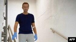 지난 19일 시베리아 공항에서 독성물질 중독으로 의식을 잃은 뒤 독일 베를린의 샤리테 병원으로 이송된 러시아 야권 인사 알렉세이 나발니 의원이 의식을 되찾고 회복 중이라며 자신의 인스타그램 계정에 사진을 올렸다. 