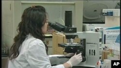 The World Health Organization estimates that 346 million people globally suffer from diabetes, and if current trends continue, deaths from the disease could double by 2030.