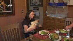 VOA Connect - حلزون، مزرعه، زنبور