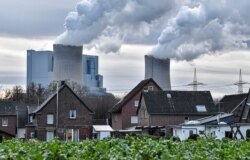 독일 베르그하임의 화력발전소. (자료사진)