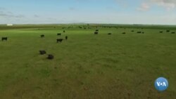 Amerikaga sayohat: Janubiy Dakota