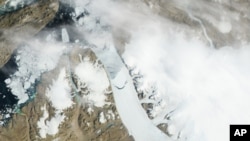 Gambar-gambar dari satelit NASA menunjukkan gunung es terlepas dari gletser Petermann di Greenland (foto: 16/7). 