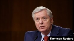 린지 그레이엄 미 상원의원이 정부 예산안 관련 회의에서 발언하고 있다. (자료사진)