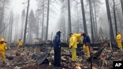 FILE - After a brief delay to let a downpour pass, volunteers resume their search for human remains at a mobile home park in Paradise, California, Nov. 23, 2018. 