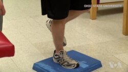 Brain May Interfere With Recovery From Injury, Scientists Say