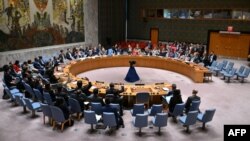 Savet bezbednosti Ujedinjenih nacija (Foto: ANGELA WEISS / AFP)