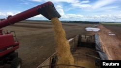 A truck is loaded with soybeans at a farm in Porto Nacional, Tocantins state, Brazil March 24, 2018. Picture taken March 24, 2018. REUTERS/Roberto Samora