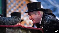 Groundhog Club President Jeff Lundy interacts with Punxsutawney Phil, the weather prognosticating groundhog, during the 135th celebration of Groundhog Day in Punxsutawney, Pa. Tuesday, Feb. 2, 2021. (AP Photo/Barry Reeger)