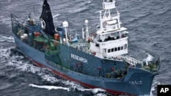 Kapal pemburu ikan paus Jepang "Yushin Maru" berlayar di selatan Antartika (foto: dok).