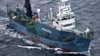 Australia, New Zealand Challenge Japan Over Whaling