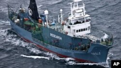 FILE - Japanese whaling ship Yushin Maru No. 2 sails in the Southern Ocean off Antarctica.