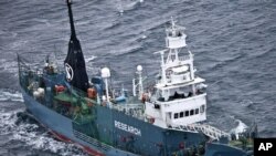 Kapal penangkap paus milik Jepang, Yushin Maru No. 2, berlayar di sebelah selatan Samudera Antarktika (foto: dok).